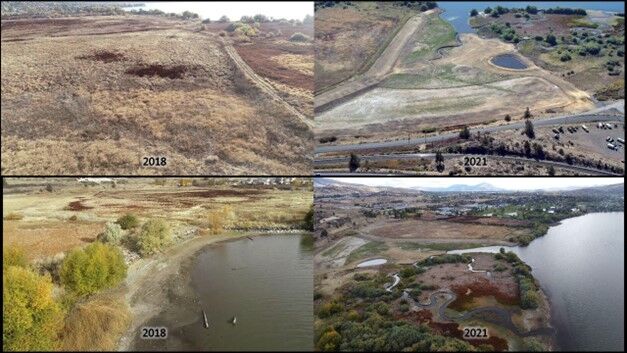 Wetlands transformation efforts honored